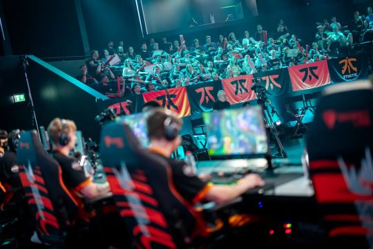 展现诚实的 展现诚实的